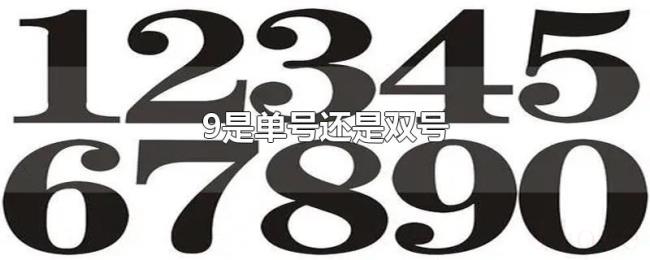 9是单号还是双号