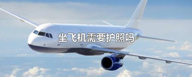坐飞机需要护照吗 坐飞机需要护照吗