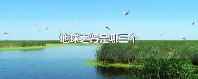 地球之肾是哪三个 地球之肾是哪三个