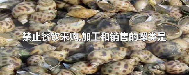 禁止餐饮采购,加工和销售的螺类是
