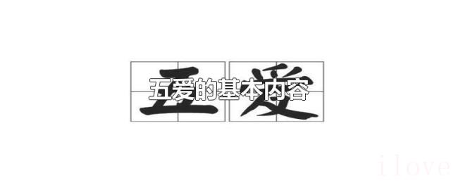 五爱的基本内容 五爱的基本内容