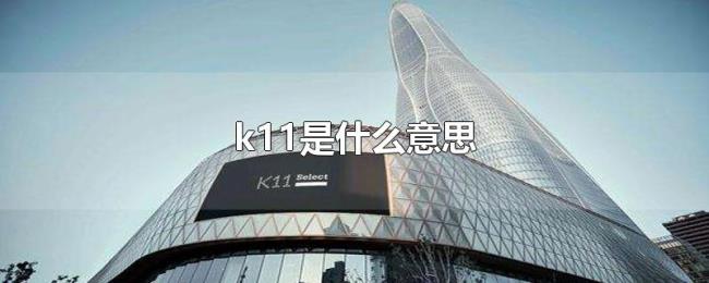 k11是什么意思 k11是什么意思