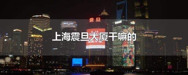 上海震旦大厦干嘛的