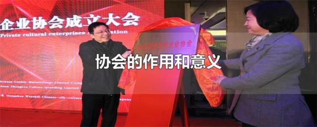 协会的作用和意义 协会的作用和意义