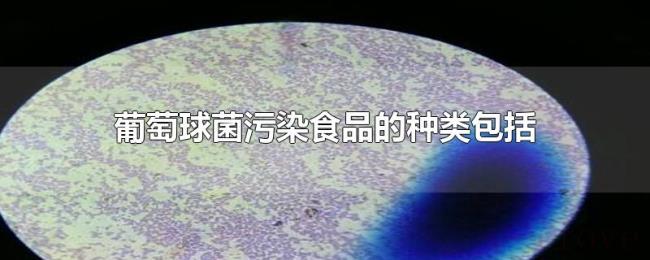 葡萄球菌污染食品的种类包括