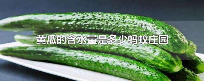 黄瓜的含水量是多少蚂蚁庄园