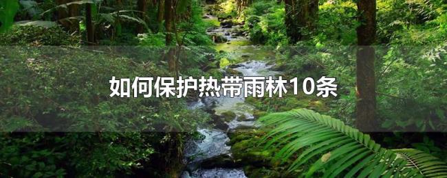 如何保护热带雨林10条 如何保护热带雨林10条
