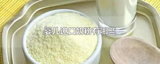 婴儿进口奶粉有哪些