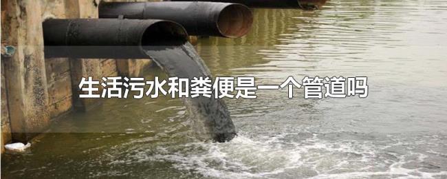 生活污水和粪便是一个管道吗 生活污水和粪便是一个管道吗