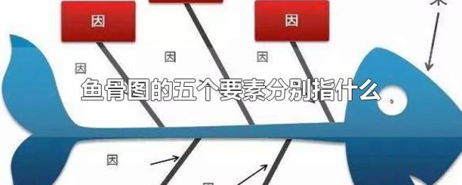 鱼骨图的五个要素分别指什么 鱼骨图的五个要素分别指什么