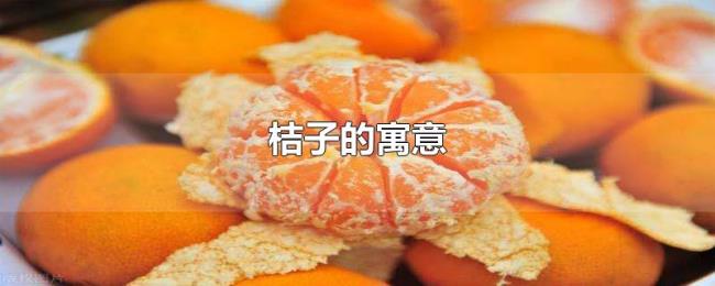 桔子的寓意