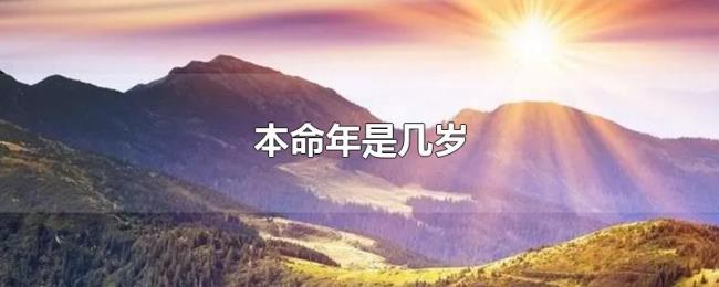 本命年是几岁 本命年是几岁