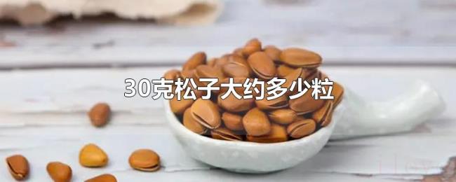 30克松子大约多少粒 30克松子大约多少粒