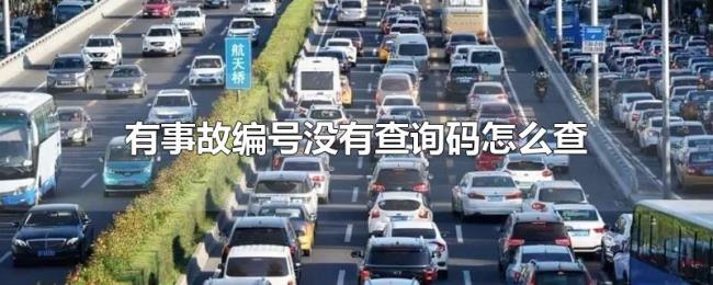 有事故编号没有查询码怎么查