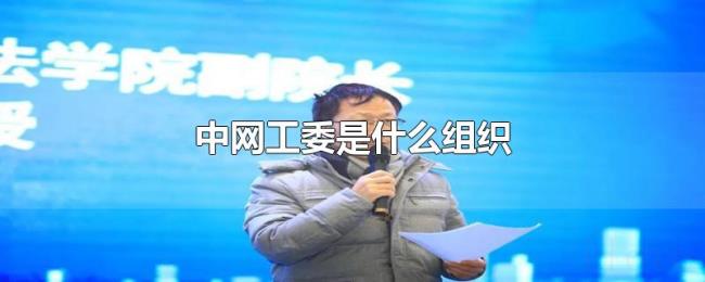 中网工委是什么组织 中网工委是什么组织