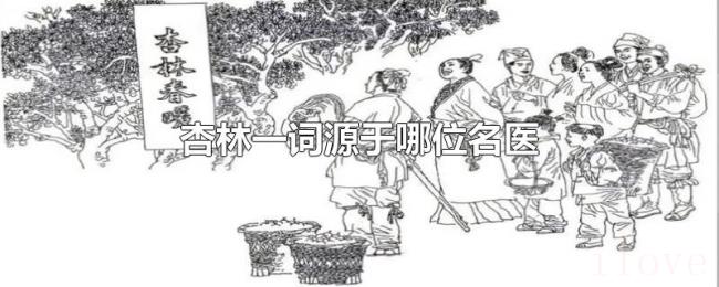 杏林一词源于哪位名医