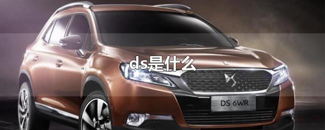ds是什么 ds是什么