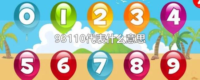 93110代表什么意思 93110代表什么意思