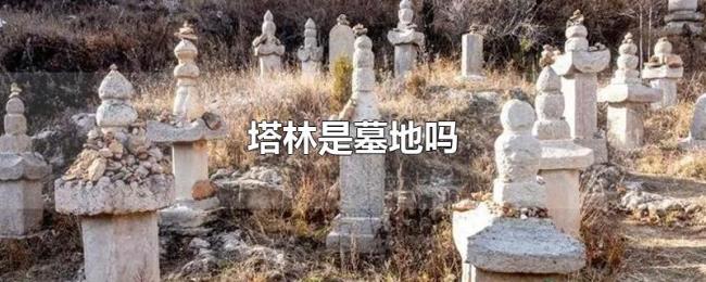 塔林是墓地吗