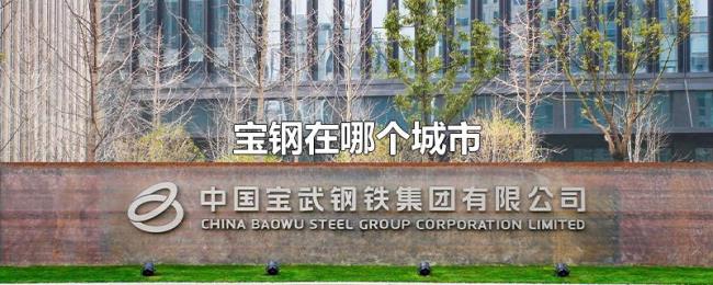 宝钢在哪个城市 宝钢在哪个城市