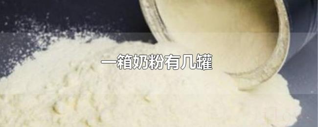 一箱奶粉有几罐 一箱奶粉有几罐