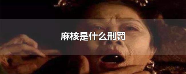 麻核是什么刑罚 麻核是什么刑罚