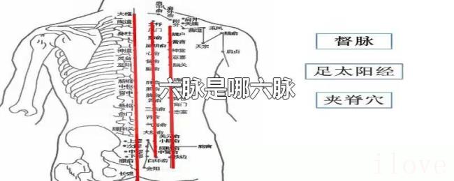 六脉是哪六脉 六脉是哪六脉