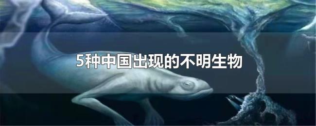 5种中国出现的不明生物