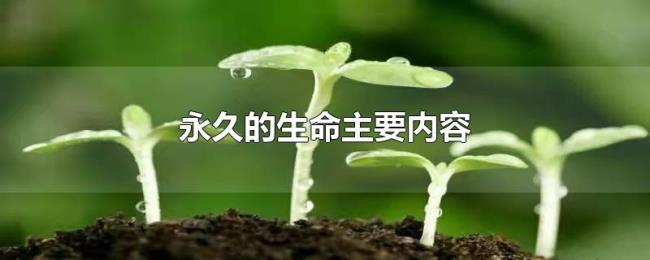 永久的生命主要内容 永久的生命主要内容