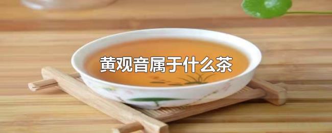 黄观音属于什么茶 黄观音属于什么茶
