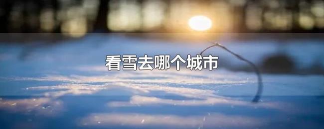 看雪去哪个城市 看雪去哪个城市