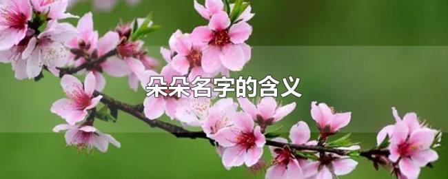 朵朵名字的含义 朵朵名字的含义