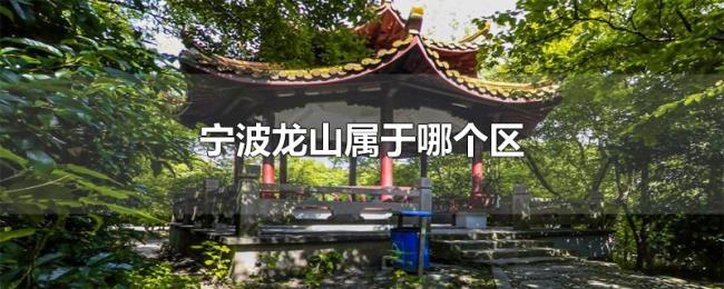 宁波龙山属于哪个区 宁波龙山属于哪个区