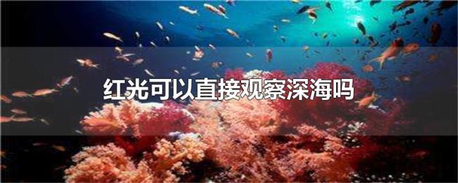 红光可以直接观察深海吗 红光可以直接观察深海吗
