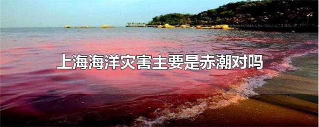 上海海洋灾害主要是赤潮对吗