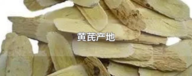 黄芪产地