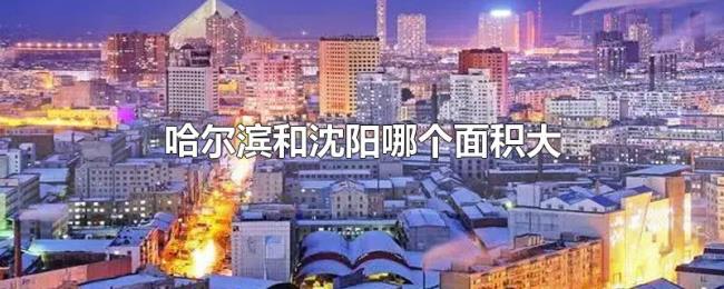 哈尔滨和沈阳哪个面积大