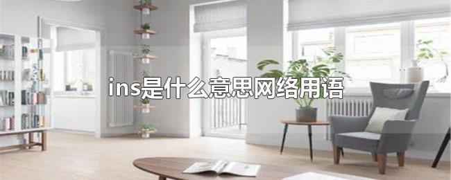 ins是什么意思网络用语