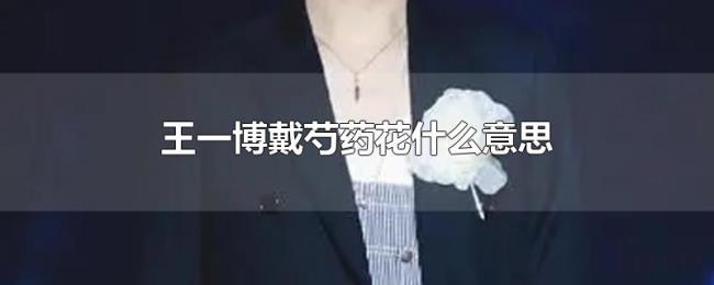 王一博戴芍药花什么意思