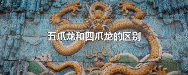 五爪龙和四爪龙的区别 五爪龙和四爪龙的区别