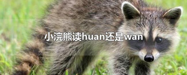 小浣熊读huan还是wan