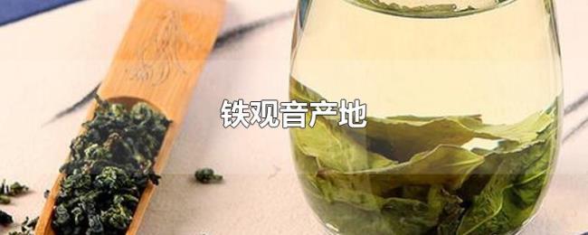 铁观音产地