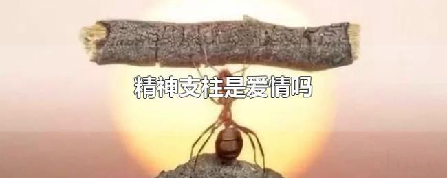 精神支柱是爱情吗
