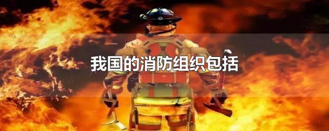 我国的消防组织包括
