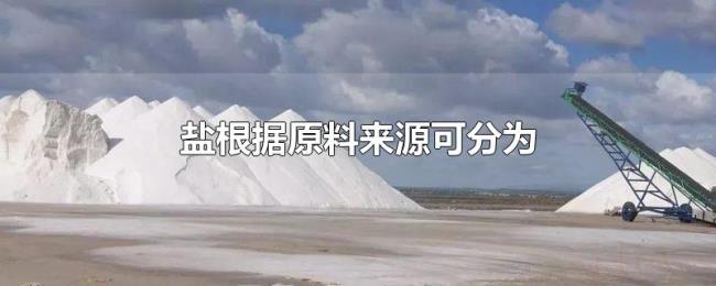 盐根据原料来源可分为