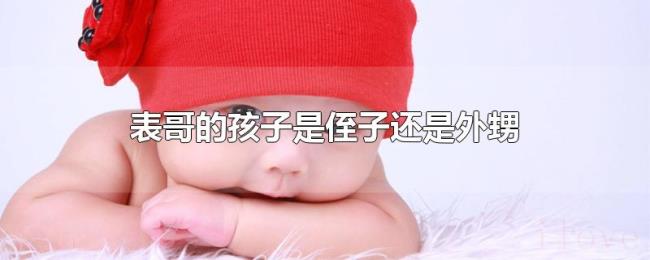 表哥的孩子是侄子还是外甥