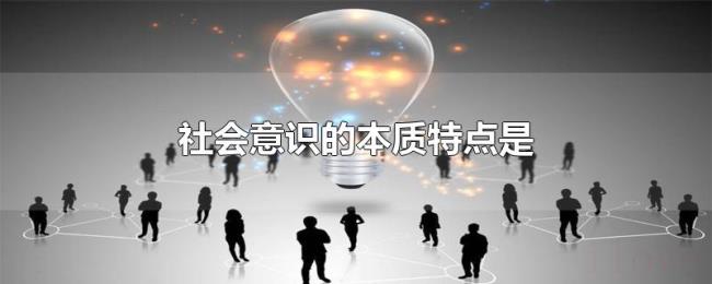 社会意识的本质特点是