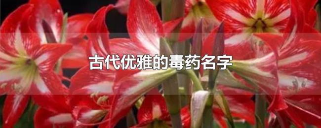 古代优雅的毒药名字 古代优雅的毒药名字