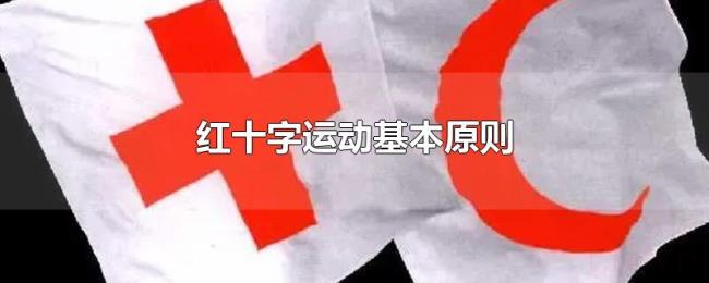 红十字运动基本原则