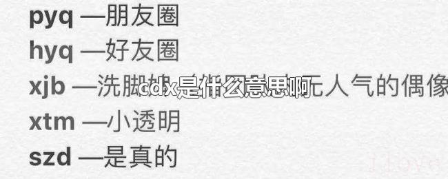 cdx是什么意思啊 cdx是什么意思啊